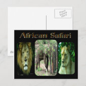 Afrikaanse Safari Briefkaart (Voorkant / Achterkant)