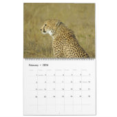 AFRIKAANSE SAFARI FAVORITES CALENDAR KALENDER (Feb 2026)