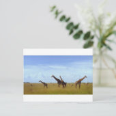 Afrikaanse Safari Giraffes Briefkaart (Staand voorkant)