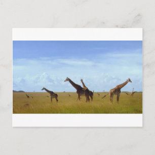 Afrikaanse Safari Giraffes Briefkaart