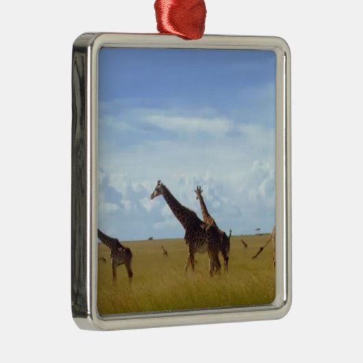 Afrikaanse Safari Giraffes Metalen Ornament (Rechts)