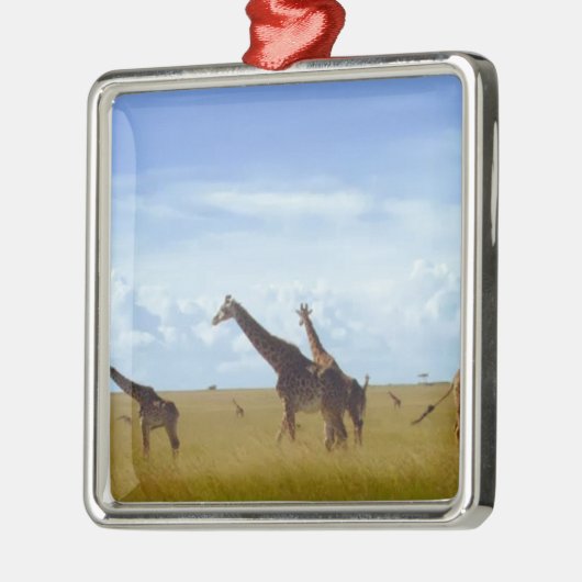 Afrikaanse Safari Giraffes Metalen Ornament (Links)
