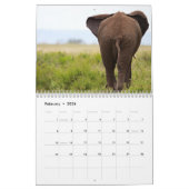 Afrikaanse safari kalender (Feb 2026)