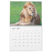 Afrikaanse safari kalender (Mar 2027)