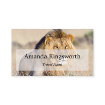 Afrikaanse Safari Travel-professional