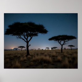 Afrikaanse Savanne Acacia Bomen Sterren Nacht Land Poster