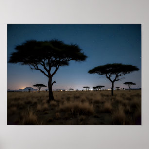 Afrikaanse Savanne Acacia Bomen Sterren Nacht Land Poster