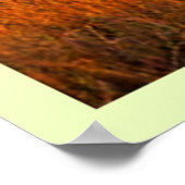 Afrikaanse Savanne Sunset Art Poster (Hoek)