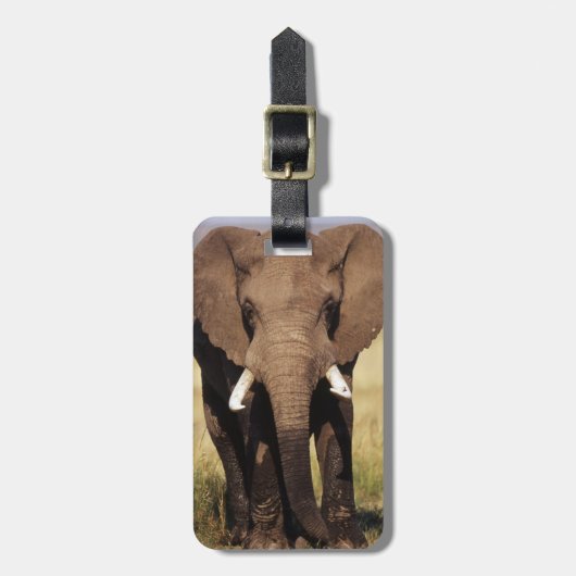 Afrikaanse savanneolifant bagagelabel (Voorkant verticaal)