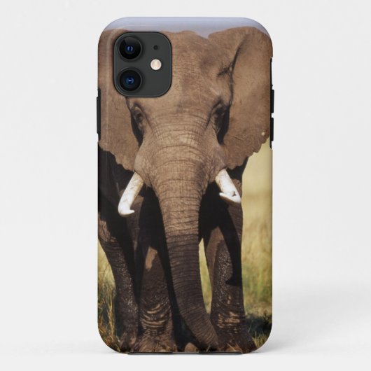 Afrikaanse savanneolifant Case-Mate iPhone case (Achterkant)