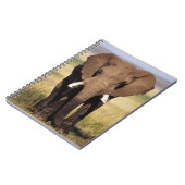 Afrikaanse savanneolifant notitieboek (Linkerzijde)