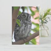 Afrikaanse Scops slapen in een boom Bedankkaart (Staand voorkant)