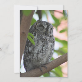 Afrikaanse Scops slapen in een boom Bedankkaart