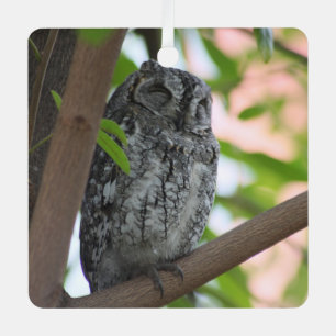 Afrikaanse Scops slapen in een boom Metalen Ornament