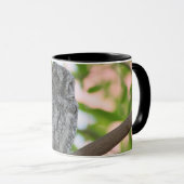 Afrikaanse Scops slapen in een boom Mok (Voorkant rechts)