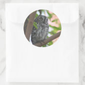 Afrikaanse Scops slapen in een boom Ronde Sticker (Tas)