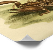 Afrikaanse Scorpion Natural History print (Hoek)