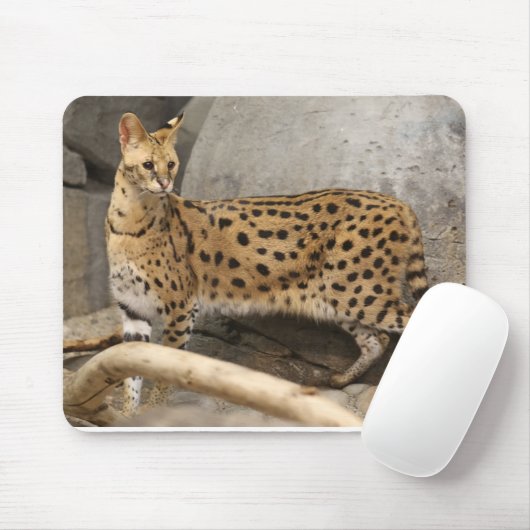 Afrikaanse servale stijlvol en functioneel muismat (Met muis)