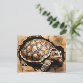 Afrikaanse spontane schildpad briefkaart (Staand voorkant)