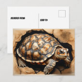 Afrikaanse spontane schildpad briefkaart (Voorkant / Achterkant)