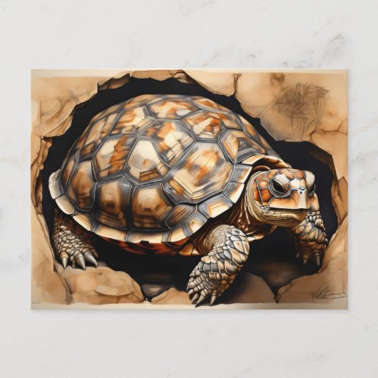 Afrikaanse spontane schildpad briefkaart (Voorkant)