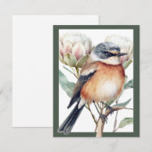 Afrikaanse Stonechat Bird (Voorkant / Achterkant)