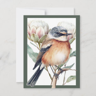 Afrikaanse Stonechat Bird