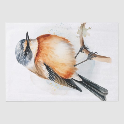 Afrikaanse Stonechat Bird Tissuepapier (Voorkant)
