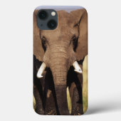 Afrikaanse Struik Elephant Case-Mate iPhone Case (Achterkant)