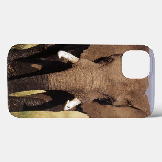 Afrikaanse Struik Elephant Case-Mate iPhone Case (Achterkant (horizontaal))
