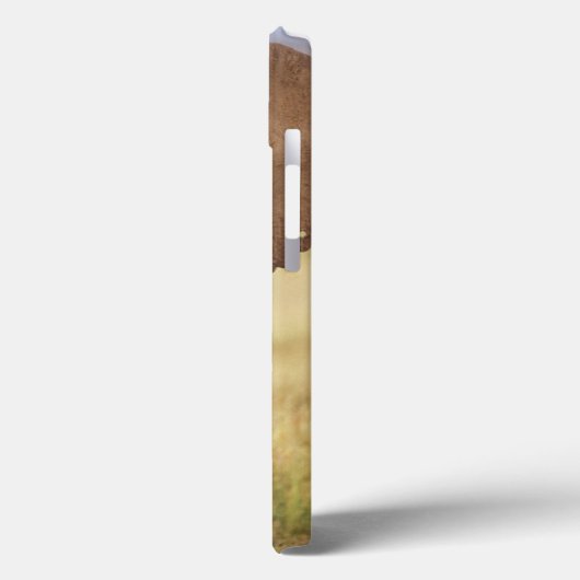 Afrikaanse Struik Elephant Case-Mate iPhone Case (Achterkant / Links)