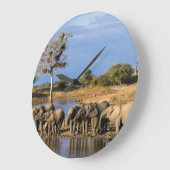 Afrikaanse Struik Elephant (Loxodonta Afriana) Her Grote Klok (Hoek)