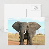 Afrikaanse Struik Elephant Marching to Succesdoel Briefkaart (Voorkant / Achterkant)