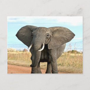 Afrikaanse Struik Elephant Marching to Succesdoel Briefkaart