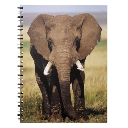 Afrikaanse Struik Elephant Notitieboek (Voorkant)