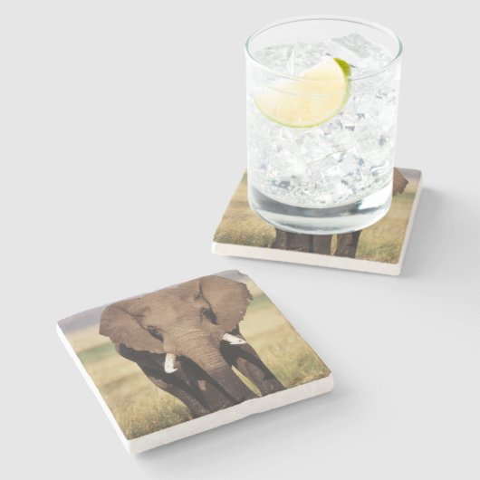 Afrikaanse Struik Elephant Stenen Onderzetter (Zijkant)