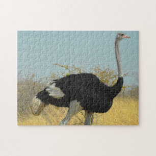 Afrikaanse Struisvogel Legpuzzel