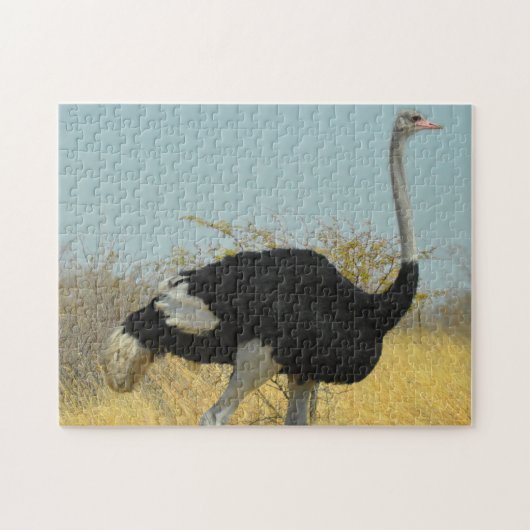 Afrikaanse Struisvogel Legpuzzel (Horizontaal)