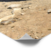 Afrikaanse tortoise ter plekke poster (Hoek)