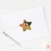 Afrikaanse Trio Art Print Ster Sticker (Envelop)