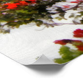 Afrikaanse Tulp-boom. Poster (Hoek)