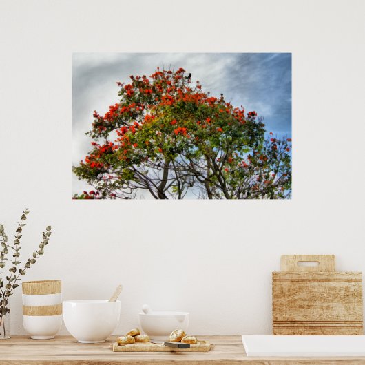 Afrikaanse Tulp-boom. Poster (Keuken)