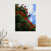 Afrikaanse Tulpboom Poster (Keuken)