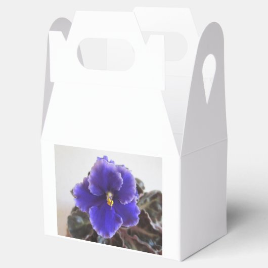 Afrikaanse Violet Blooming Bedankdoosjes (Geopend)