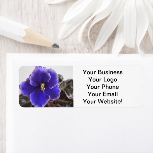 Afrikaanse Violet Blooming Etiket (Insitu)