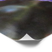 Afrikaanse Violet Blooming Poster (Hoek)