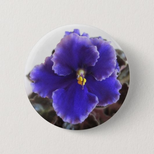 Afrikaanse Violet Blooming Ronde Button 5,7 Cm (Voorkant)