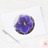 Afrikaanse Violet Blooming Ronde Sticker (Envelop)