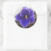 Afrikaanse Violet Blooming Ronde Sticker (Tas)