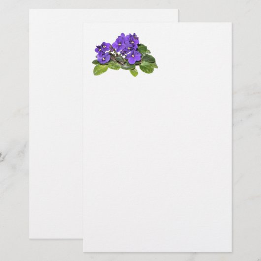 Afrikaanse violet briefpapier (Voorkant / Achterkant)
